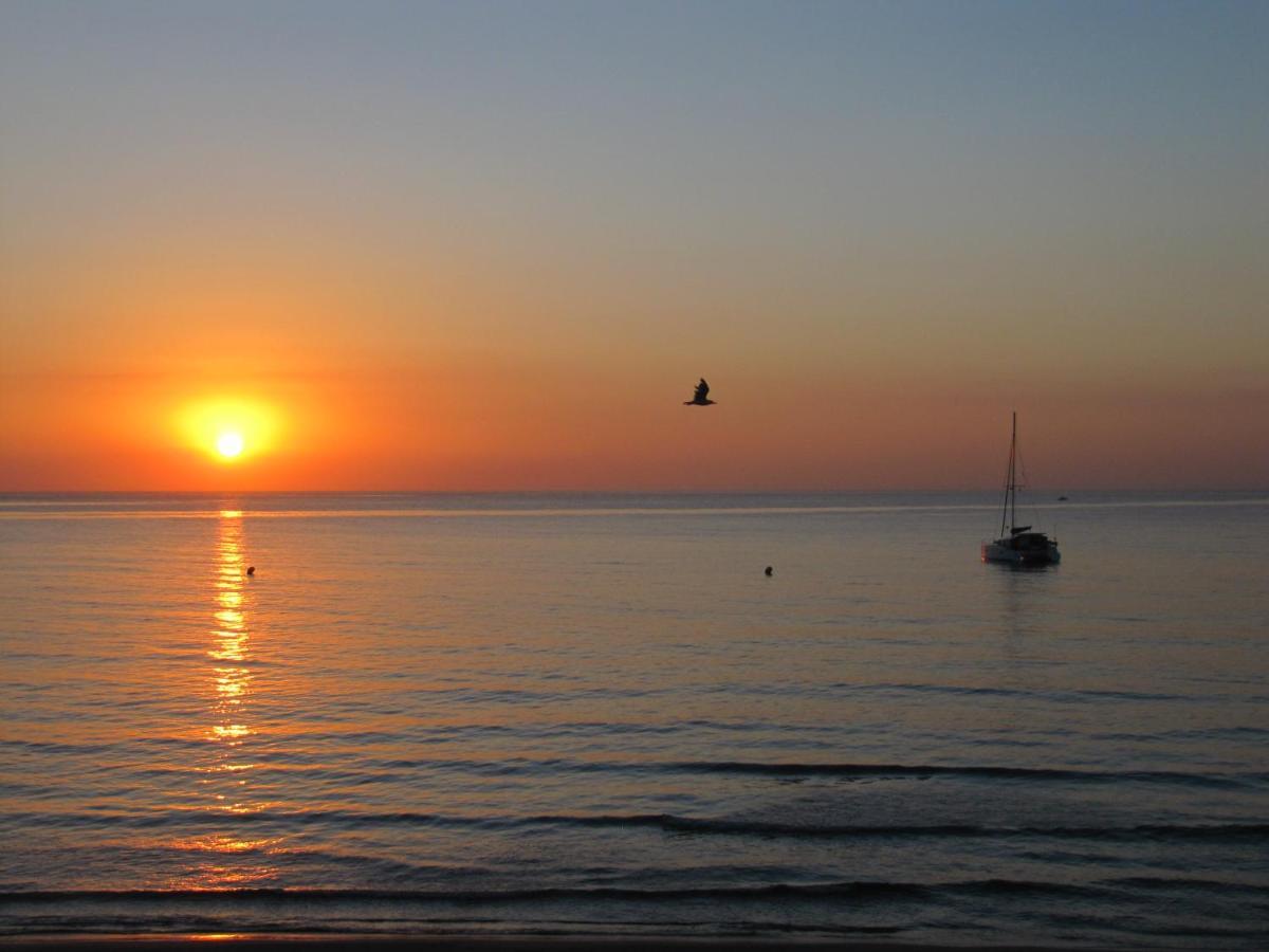 Espectacular Apartamento A Pie De Playa En Chalet Roquetes Alicante Exterior photo